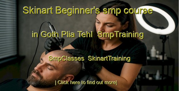 Skinart Beginner's smp course in Goth Plia Tehl | SmpTraining | SmpClasses | SkinartTraining-Pakistan