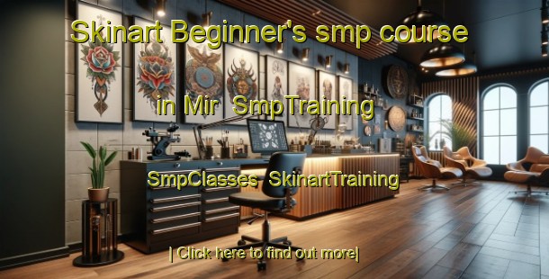 Skinart Beginner's smp course in Mir | SmpTraining | SmpClasses | SkinartTraining-Pakistan