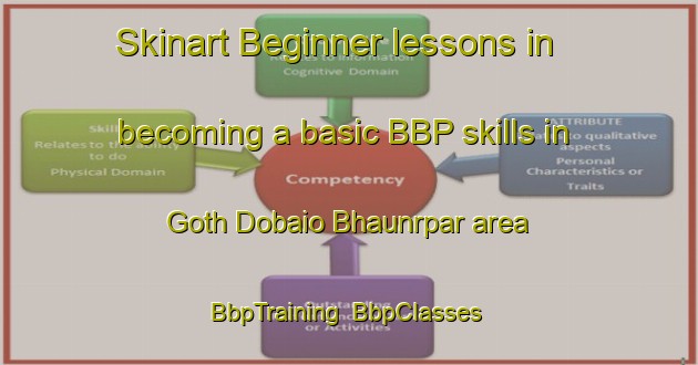 Skinart Beginner lessons in becoming a basic BBP skills in Goth Dobaio Bhaunrpar area | BbpTraining | BbpClasses | SkinartTraining-Pakistan