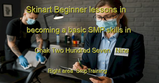 Skinart Beginner lessons in becoming a basic SMP skills in Chak Two Hundred Seven   Nine Right area | SmpTraining | SmpClasses | SkinartTraining-Pakistan