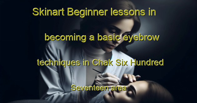 Skinart Beginner lessons in becoming a basic eyebrow techniques in Chak Six Hundred Seventeen area | EyebrowTraining | EyebrowClasses | SkinartTraining-Pakistan