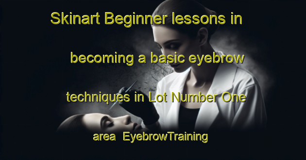 Skinart Beginner lessons in becoming a basic eyebrow techniques in Lot Number One area | EyebrowTraining | EyebrowClasses | SkinartTraining-Pakistan