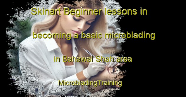 Skinart Beginner lessons in becoming a basic microblading in Bahawal Shah area | MicrobladingTraining | MicrobladingClasses | SkinartTraining-Pakistan