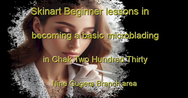 Skinart Beginner lessons in becoming a basic microblading in Chak Two Hundred Thirty Nine Gugera Branch area | MicrobladingTraining | MicrobladingClasses | SkinartTraining-Pakistan