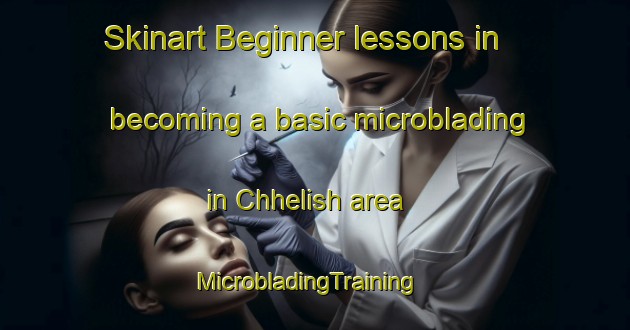 Skinart Beginner lessons in becoming a basic microblading in Chhelish area | MicrobladingTraining | MicrobladingClasses | SkinartTraining-Pakistan