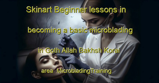 Skinart Beginner lessons in becoming a basic microblading in Goth Allah Bakhsh Korai area | MicrobladingTraining | MicrobladingClasses | SkinartTraining-Pakistan