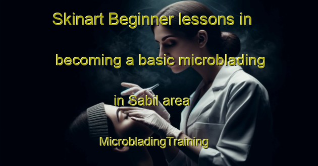 Skinart Beginner lessons in becoming a basic microblading in Sabil area | MicrobladingTraining | MicrobladingClasses | SkinartTraining-Pakistan