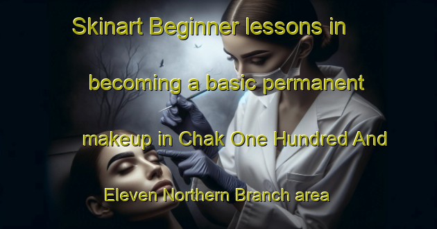 Skinart Beginner lessons in becoming a basic permanent makeup in Chak One Hundred And Eleven Northern Branch area | PermanentmakeupTraining | PermanentmakeupClasses | SkinartTraining-Pakistan