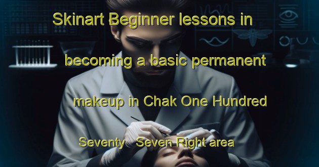 Skinart Beginner lessons in becoming a basic permanent makeup in Chak One Hundred Seventy   Seven Right area | PermanentmakeupTraining | PermanentmakeupClasses | SkinartTraining-Pakistan