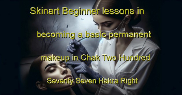 Skinart Beginner lessons in becoming a basic permanent makeup in Chak Two Hundred Seventy Seven Hakra Right Gharbi area | PermanentmakeupTraining | PermanentmakeupClasses | SkinartTraining-Pakistan