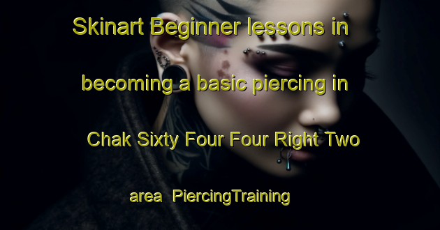Skinart Beginner lessons in becoming a basic piercing in Chak Sixty Four Four Right Two area | PiercingTraining | PiercingClasses | SkinartTraining-Pakistan