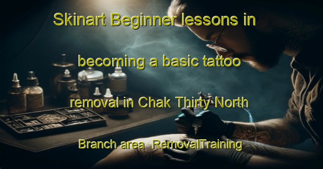 Skinart Beginner lessons in becoming a basic tattoo removal in Chak Thirty North Branch area | RemovalTraining | RemovalClasses | SkinartTraining-Pakistan