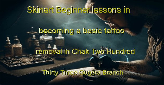 Skinart Beginner lessons in becoming a basic tattoo removal in Chak Two Hundred Thirty Three Gugera Branch area | RemovalTraining | RemovalClasses | SkinartTraining-Pakistan