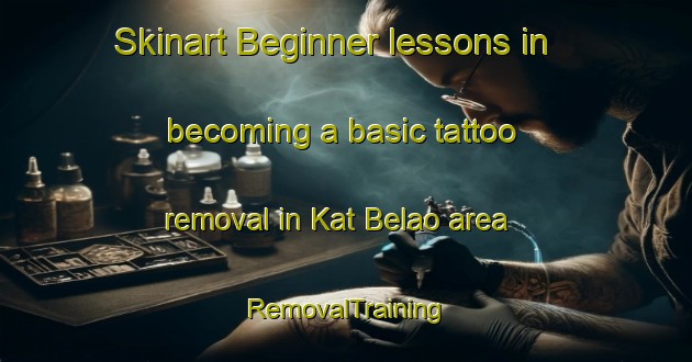 Skinart Beginner lessons in becoming a basic tattoo removal in Kat Belao area | RemovalTraining | RemovalClasses | SkinartTraining-Pakistan