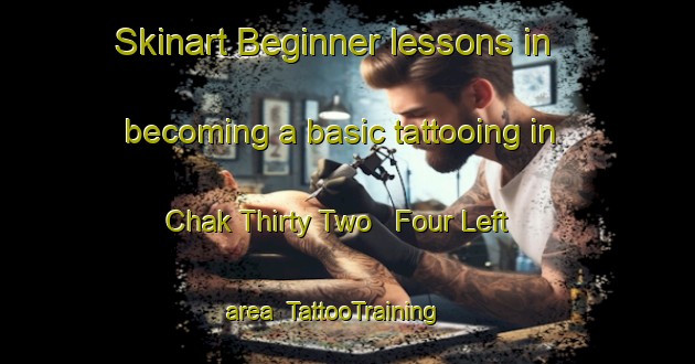 Skinart Beginner lessons in becoming a basic tattooing in Chak Thirty Two   Four Left area | TattooTraining | TattooClasses | SkinartTraining-Pakistan