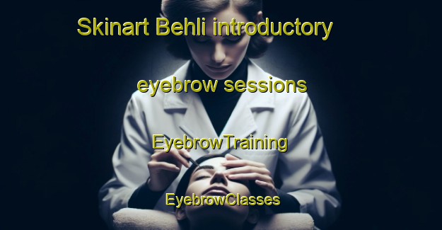 Skinart Behli introductory eyebrow sessions | EyebrowTraining | EyebrowClasses | SkinartTraining-Pakistan