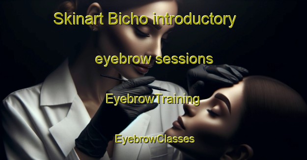 Skinart Bicho introductory eyebrow sessions | EyebrowTraining | EyebrowClasses | SkinartTraining-Pakistan