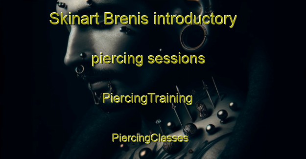 Skinart Brenis introductory piercing sessions | PiercingTraining | PiercingClasses | SkinartTraining-Pakistan