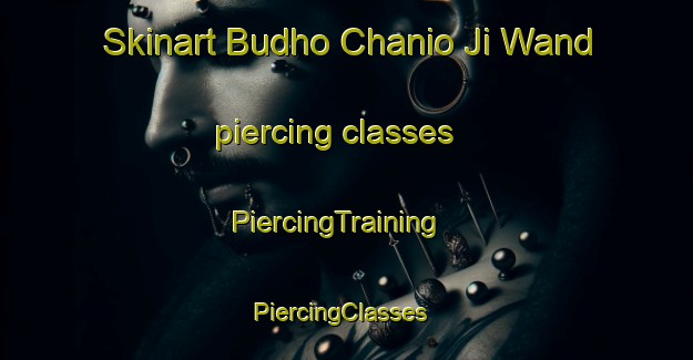 Skinart Budho Chanio Ji Wand piercing classes | PiercingTraining | PiercingClasses | SkinartTraining-Pakistan