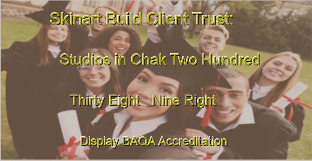 Skinart Build Client Trust: Studios in Chak Two Hundred Thirty Eight   Nine Right - Display BAQA Accreditation | Body Art Qualification Authority | BAQA-Pakistan
