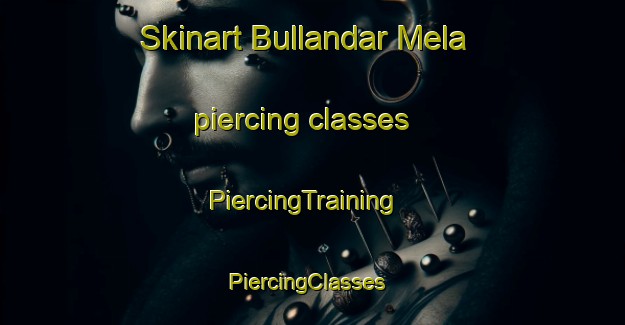 Skinart Bullandar Mela piercing classes | PiercingTraining | PiercingClasses | SkinartTraining-Pakistan