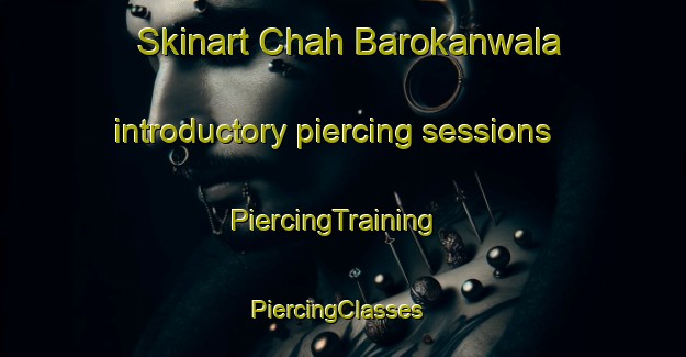 Skinart Chah Barokanwala introductory piercing sessions | PiercingTraining | PiercingClasses | SkinartTraining-Pakistan