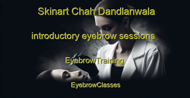 Skinart Chah Dandlanwala introductory eyebrow sessions | EyebrowTraining | EyebrowClasses | SkinartTraining-Pakistan