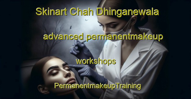 Skinart Chah Dhinganewala advanced permanentmakeup workshops | PermanentmakeupTraining | PermanentmakeupClasses | SkinartTraining-Pakistan
