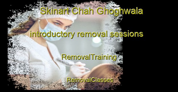 Skinart Chah Ghoghwala introductory removal sessions | RemovalTraining | RemovalClasses | SkinartTraining-Pakistan