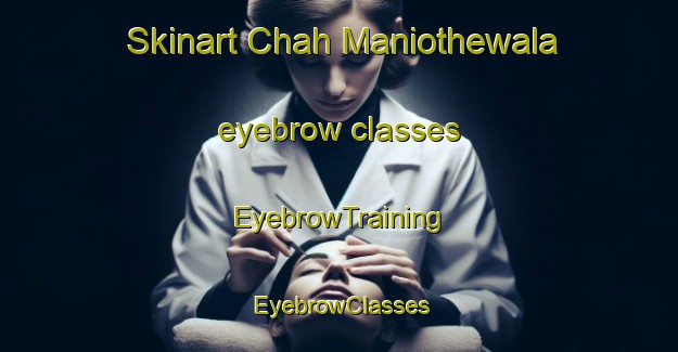 Skinart Chah Maniothewala eyebrow classes | EyebrowTraining | EyebrowClasses | SkinartTraining-Pakistan