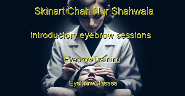 Skinart Chah Nur Shahwala introductory eyebrow sessions | EyebrowTraining | EyebrowClasses | SkinartTraining-Pakistan