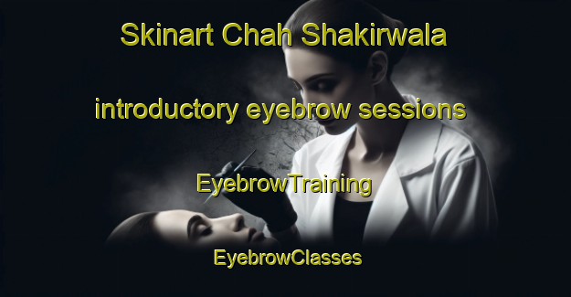 Skinart Chah Shakirwala introductory eyebrow sessions | EyebrowTraining | EyebrowClasses | SkinartTraining-Pakistan