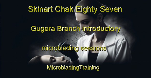 Skinart Chak Eighty Seven Gugera Branch introductory microblading sessions | MicrobladingTraining | MicrobladingClasses | SkinartTraining-Pakistan