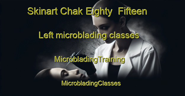 Skinart Chak Eighty  Fifteen Left microblading classes | MicrobladingTraining | MicrobladingClasses | SkinartTraining-Pakistan