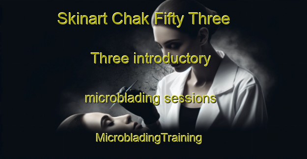 Skinart Chak Fifty Three  Three introductory microblading sessions | MicrobladingTraining | MicrobladingClasses | SkinartTraining-Pakistan