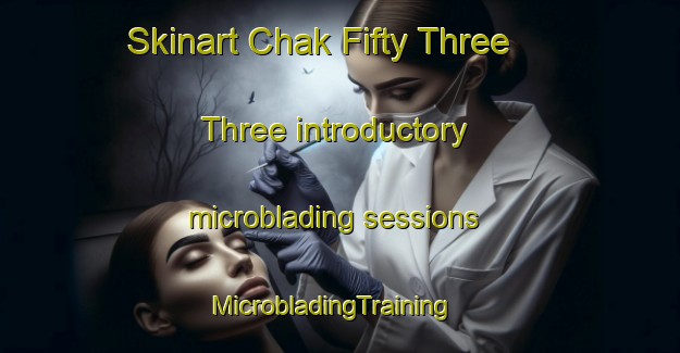 Skinart Chak Fifty Three  Three introductory microblading sessions | MicrobladingTraining | MicrobladingClasses | SkinartTraining-Pakistan