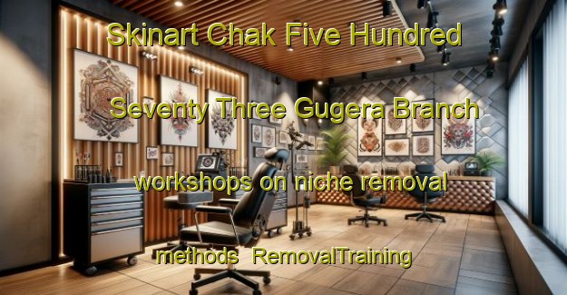 Skinart Chak Five Hundred Seventy Three Gugera Branch workshops on niche removal methods | RemovalTraining | RemovalClasses | SkinartTraining-Pakistan