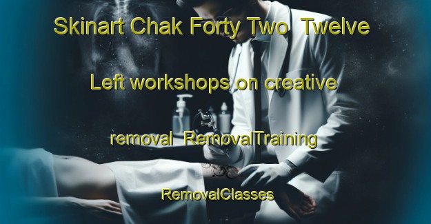 Skinart Chak Forty Two  Twelve Left workshops on creative removal | RemovalTraining | RemovalClasses | SkinartTraining-Pakistan