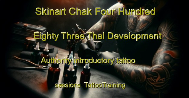 Skinart Chak Four Hundred Eighty Three Thal Development Authority introductory tattoo sessions | TattooTraining | TattooClasses | SkinartTraining-Pakistan