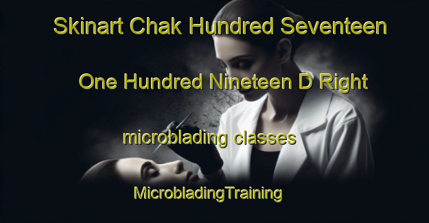 Skinart Chak Hundred Seventeen  One Hundred Nineteen D Right microblading classes | MicrobladingTraining | MicrobladingClasses | SkinartTraining-Pakistan