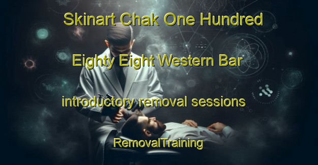 Skinart Chak One Hundred Eighty Eight Western Bar introductory removal sessions | RemovalTraining | RemovalClasses | SkinartTraining-Pakistan