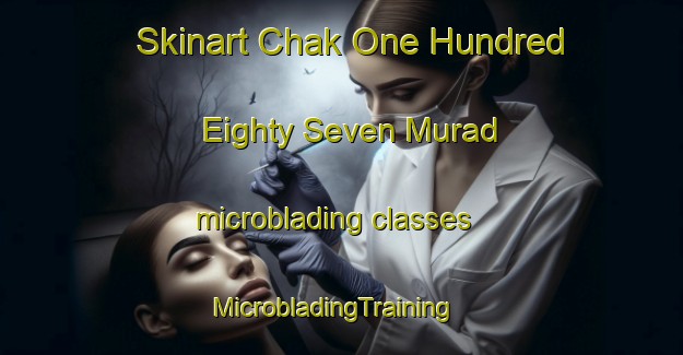 Skinart Chak One Hundred Eighty Seven Murad microblading classes | MicrobladingTraining | MicrobladingClasses | SkinartTraining-Pakistan