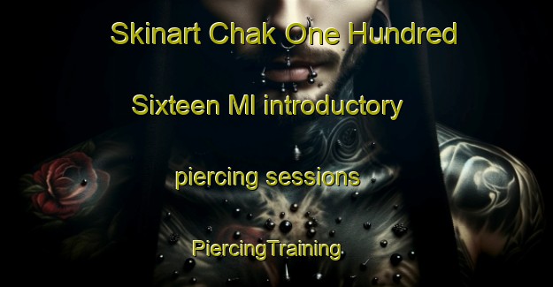 Skinart Chak One Hundred Sixteen Ml introductory piercing sessions | PiercingTraining | PiercingClasses | SkinartTraining-Pakistan