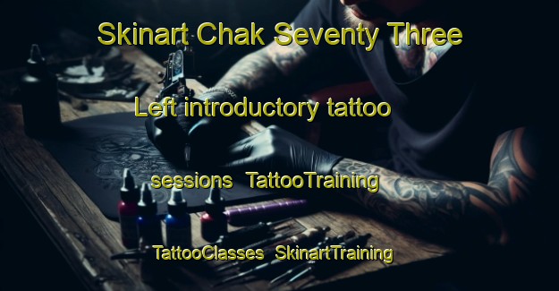 Skinart Chak Seventy Three Left introductory tattoo sessions | TattooTraining | TattooClasses | SkinartTraining-Pakistan