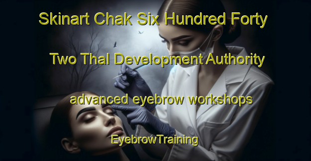 Skinart Chak Six Hundred Forty Two Thal Development Authority advanced eyebrow workshops | EyebrowTraining | EyebrowClasses | SkinartTraining-Pakistan