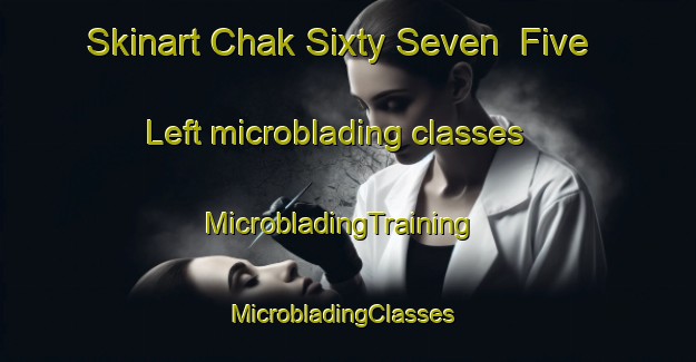 Skinart Chak Sixty Seven  Five Left microblading classes | MicrobladingTraining | MicrobladingClasses | SkinartTraining-Pakistan