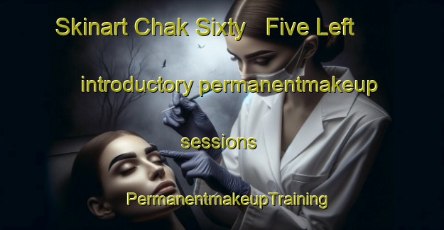 Skinart Chak Sixty   Five Left introductory permanentmakeup sessions | PermanentmakeupTraining | PermanentmakeupClasses | SkinartTraining-Pakistan