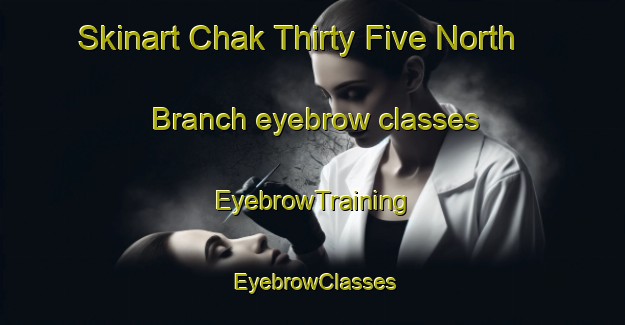 Skinart Chak Thirty Five North Branch eyebrow classes | EyebrowTraining | EyebrowClasses | SkinartTraining-Pakistan