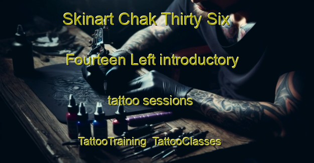 Skinart Chak Thirty Six  Fourteen Left introductory tattoo sessions | TattooTraining | TattooClasses | SkinartTraining-Pakistan