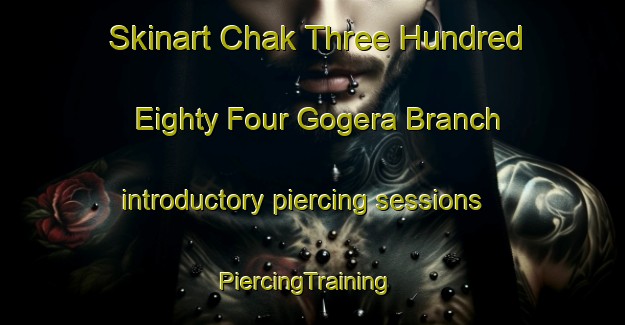 Skinart Chak Three Hundred Eighty Four Gogera Branch introductory piercing sessions | PiercingTraining | PiercingClasses | SkinartTraining-Pakistan